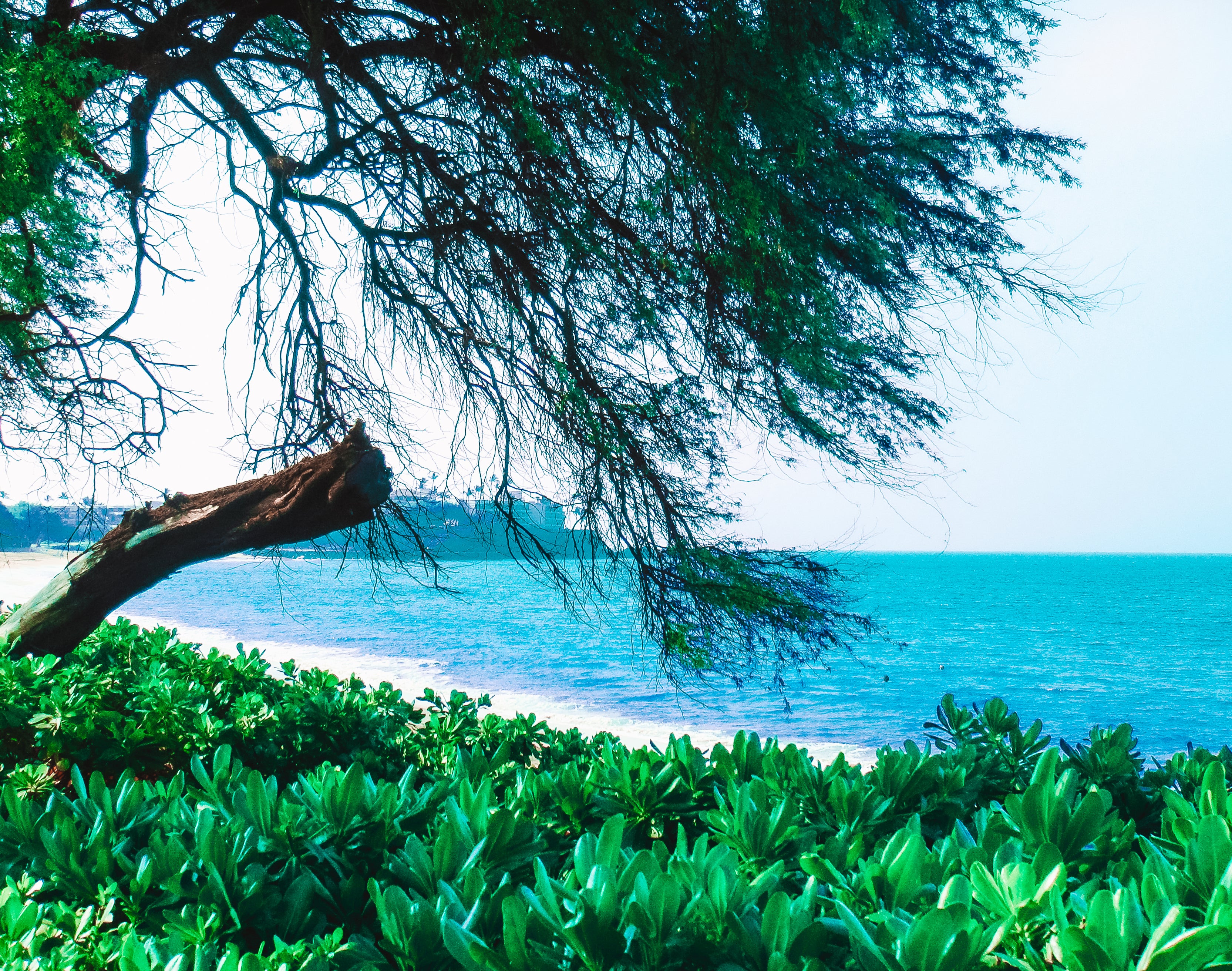 Hawaii project photoshoot 4